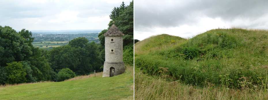 Folly for Owls